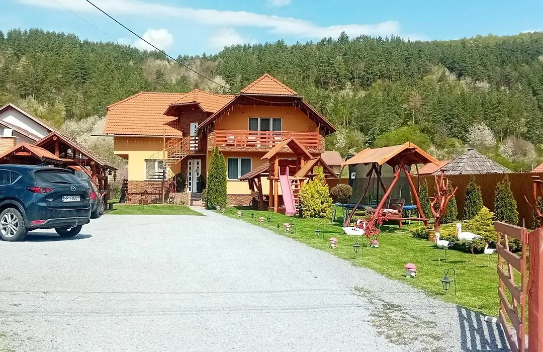 Casa de Oaspeti Cristian-1