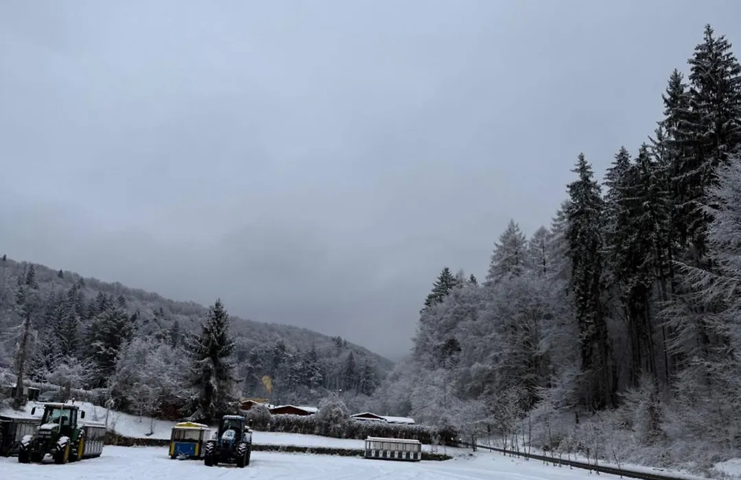 Pensiunea Valea Cetatii-1