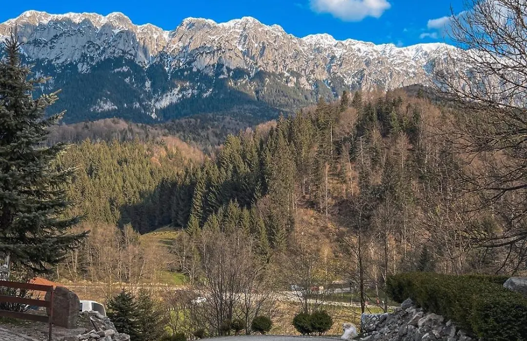 Panorama Pietrei Craiului-1