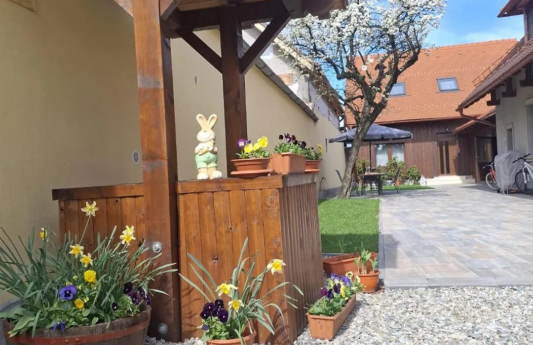 Casa Sura Sasilor-1