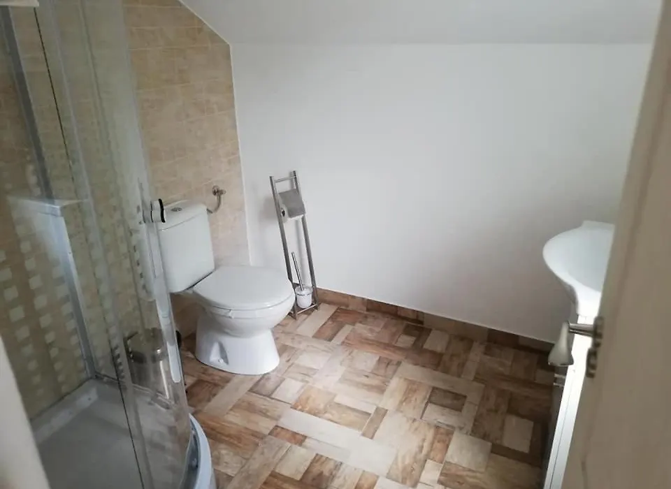 Pensiunea Rozelor Sâmbăta de Sus-1