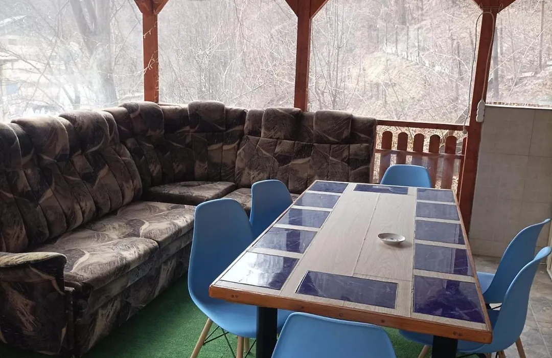Casa Puiu-1