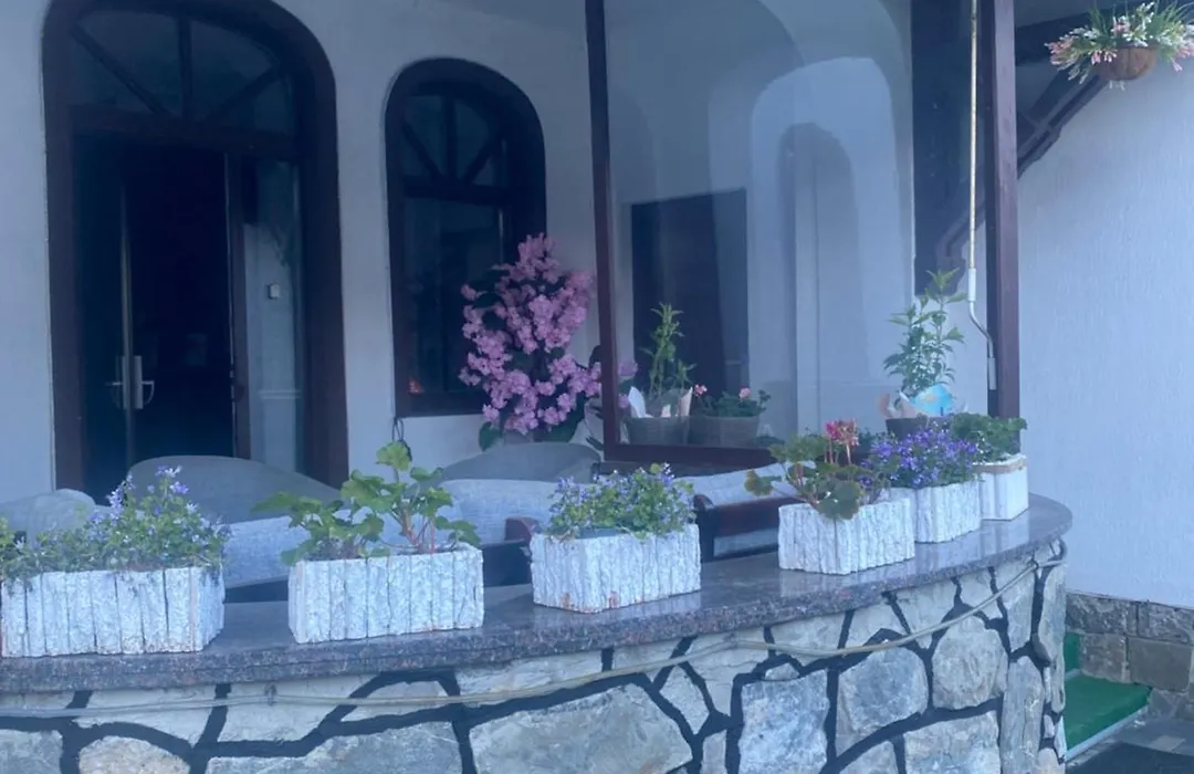 White Wood Chalet-1