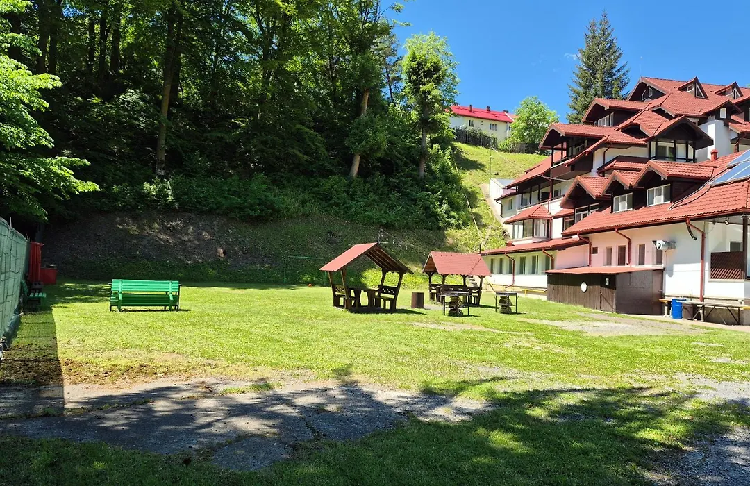 Cristal Sinaia-1