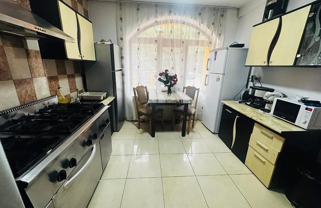 Casa Lupascu-1
