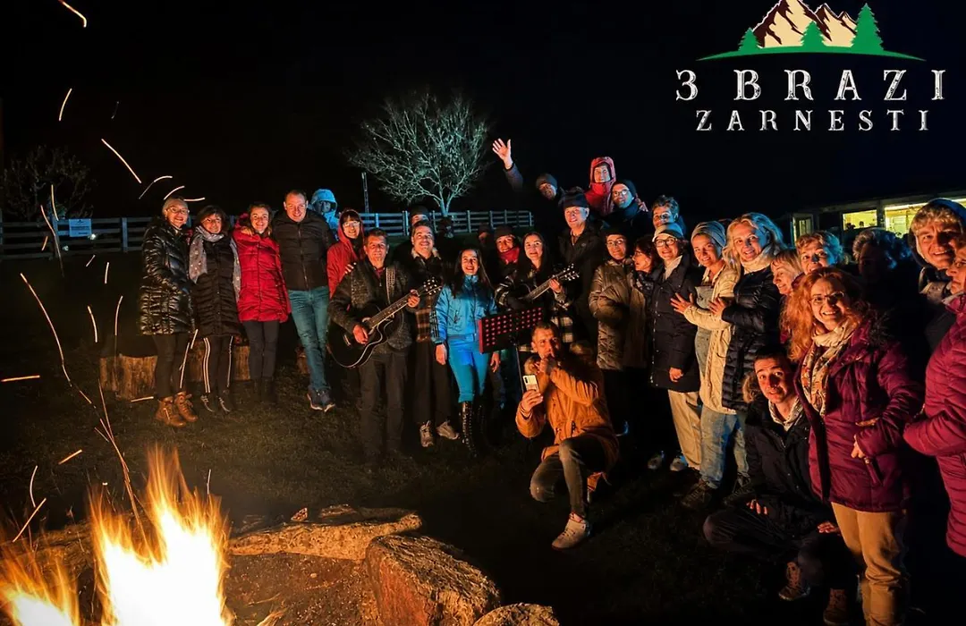 Pensiunea 3 Brazi Zarnesti-1