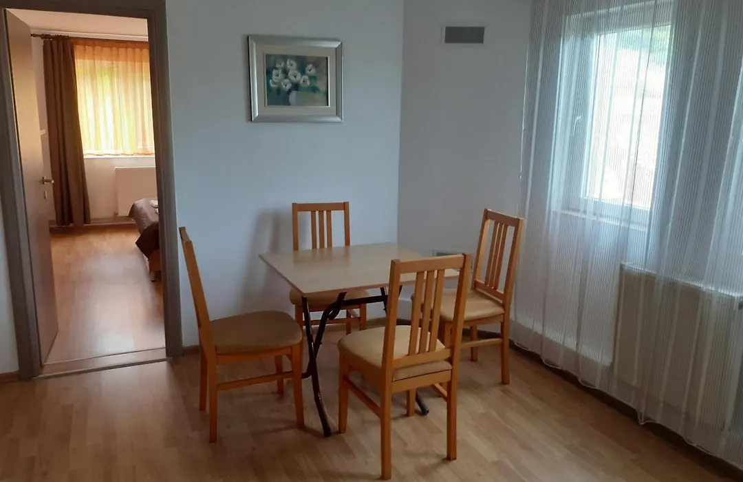 Pensiunea Cionca str 1 Decembrie 1918 nr 466-1