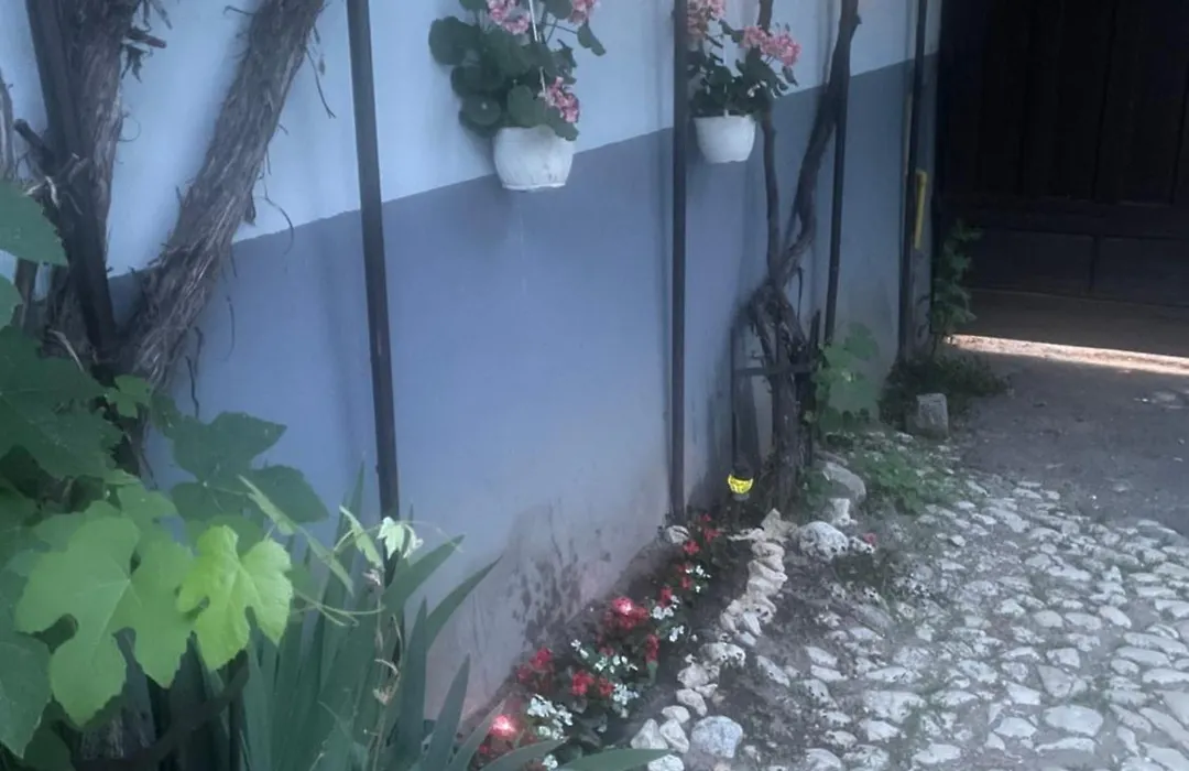 Blue House-1