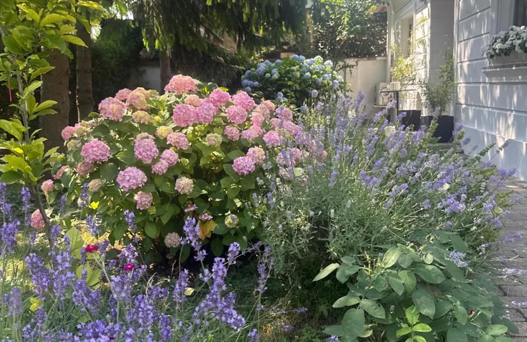 The House Of Roses-1