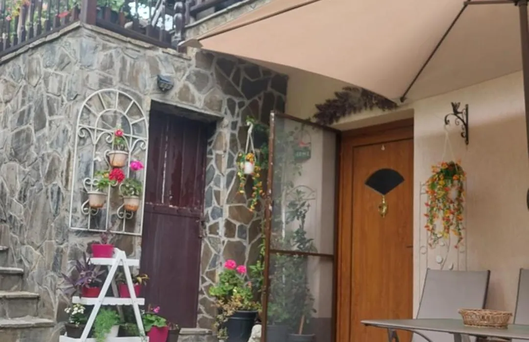 Casa Rosca Busteni-1