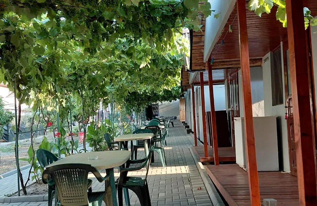 Casa Mihai-1