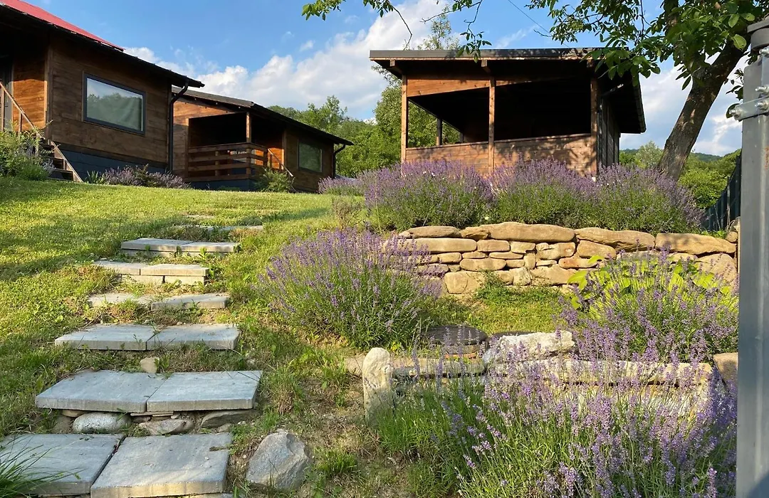 Bungalouri Olanesti-1