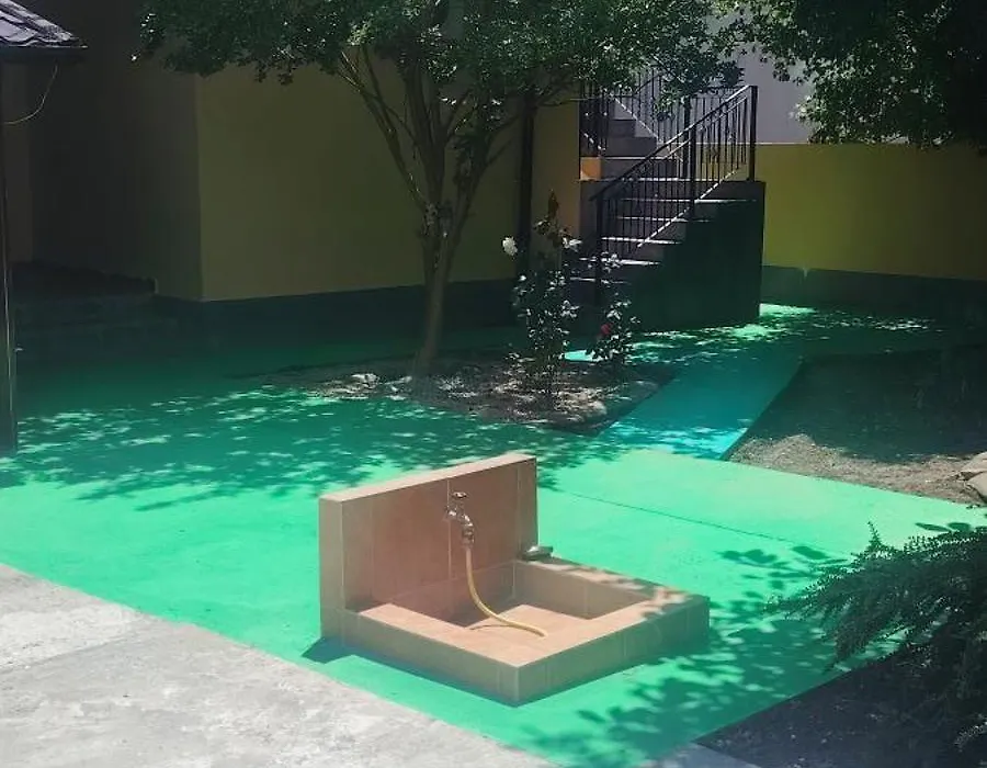 Casa la Petcu-1