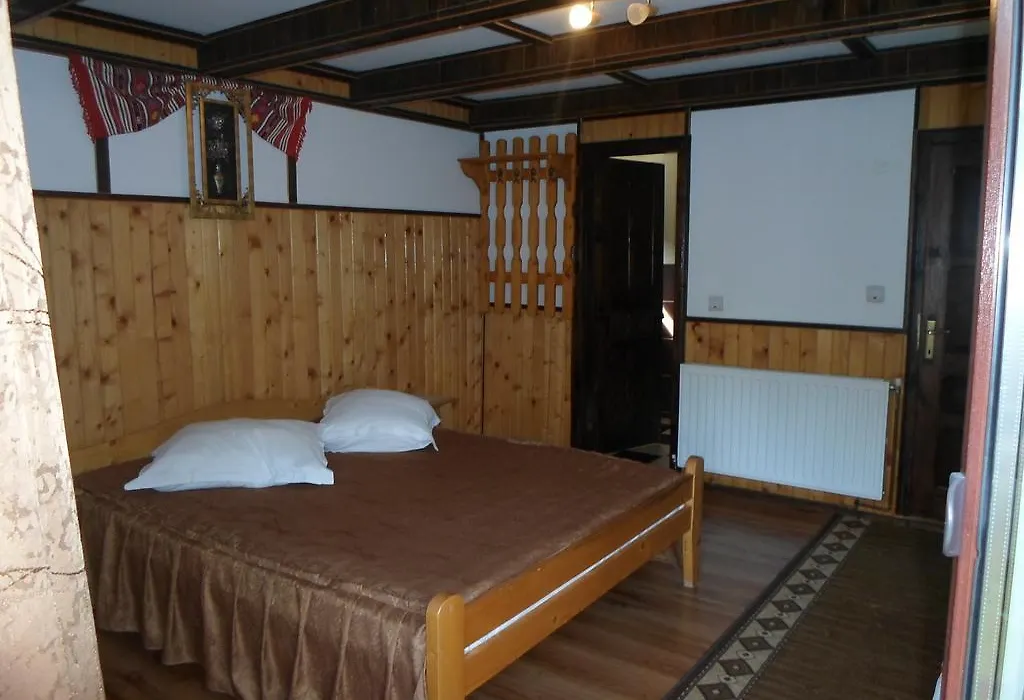 Pensiunea Puiu-1