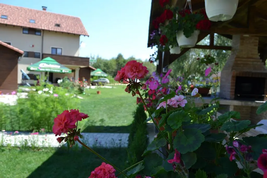 Pensiunea Royal Garden-1