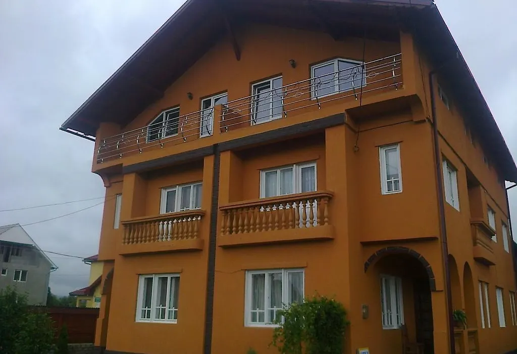 pensiunea Montana Sapinta-1