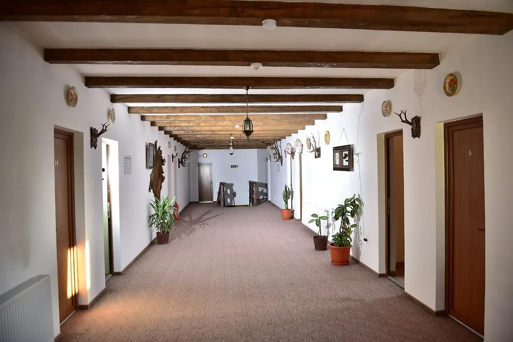 Pensiunea Doli-1