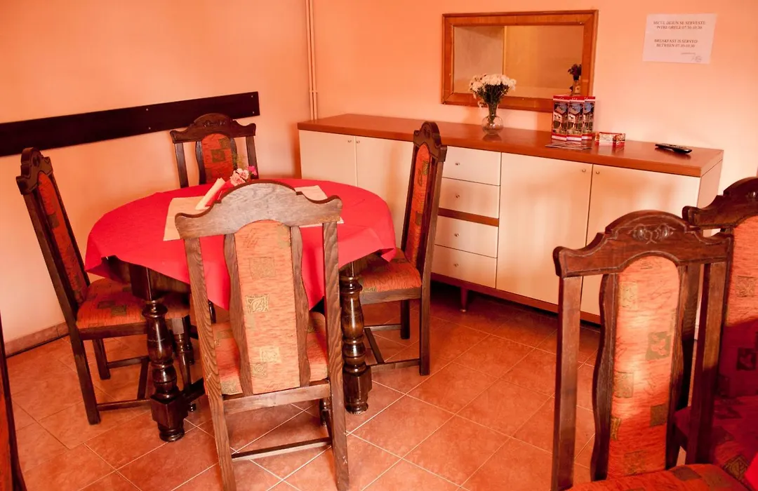 Pensiunea Vlad Home-1