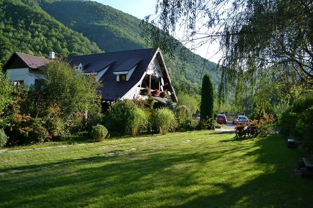 Pensiunea Dumbrăvița-1