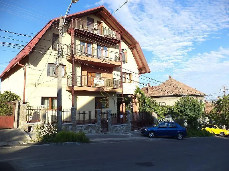 Camere De Inchiriat " Spicului"-1