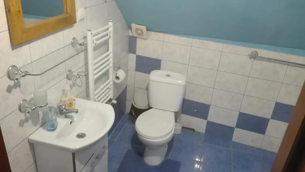Casa De Oaspeti " Rodica"-1
