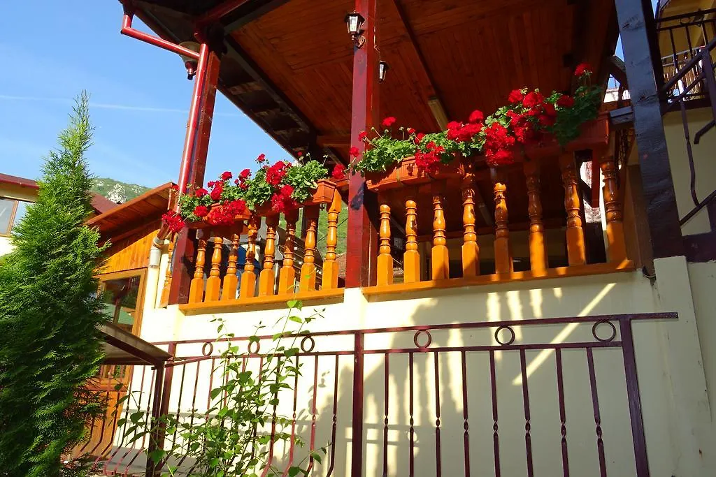 Pension Cuibul Viselor-1