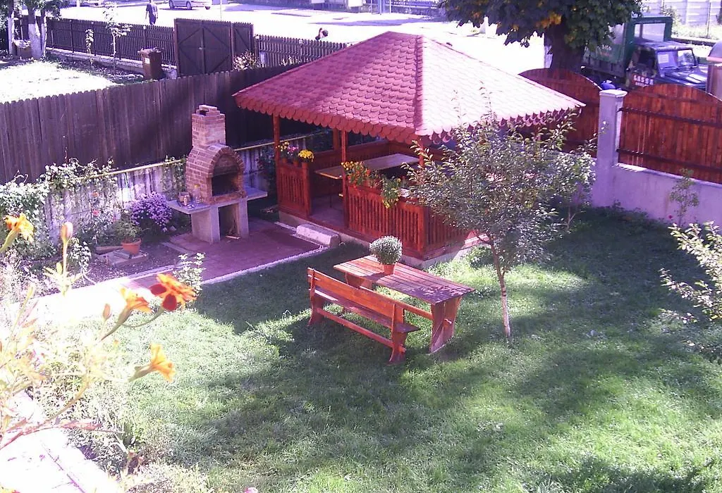 Vila Foisor-1