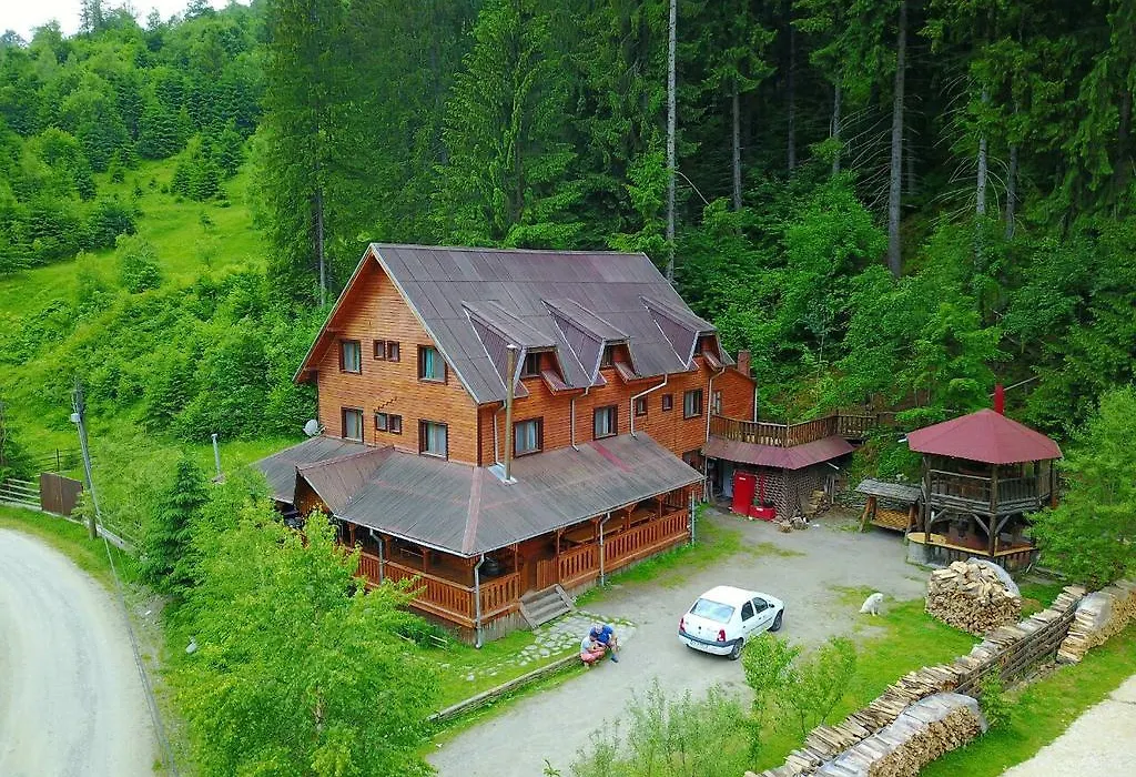 Cabana Ancutei-1