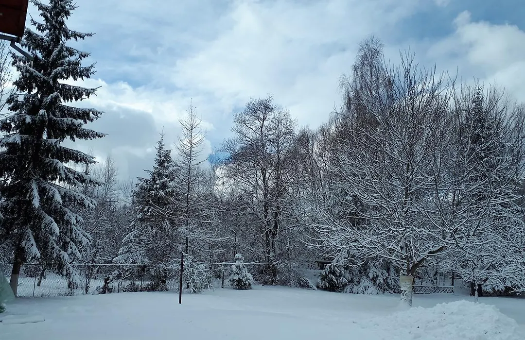 Pensiunea Alpin-1