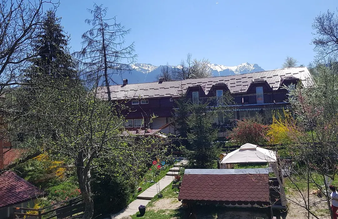 Pension Bran Ioana& Spa-1