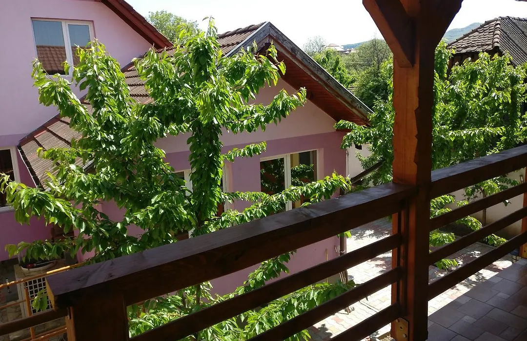 Casa Cu Butoi-1