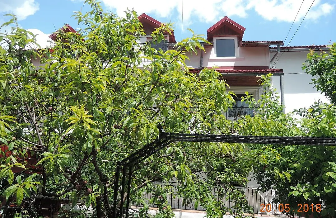Casa La Musteata-1
