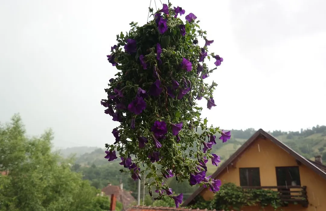 Casa Mon Reve-1