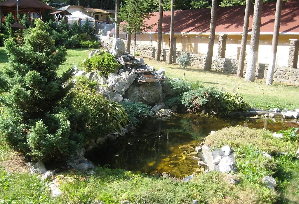 Pensiunea Speranta-1