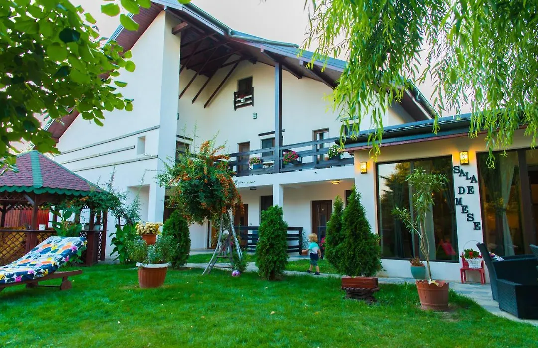Pensiunea Puiu-1