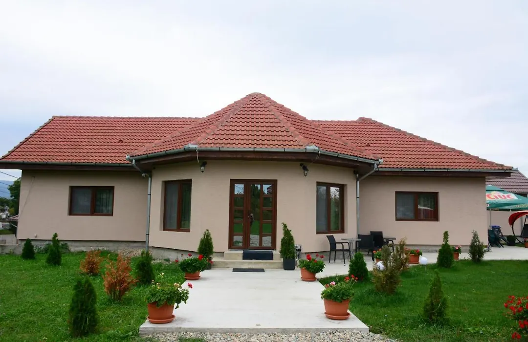 Casa Alin-1