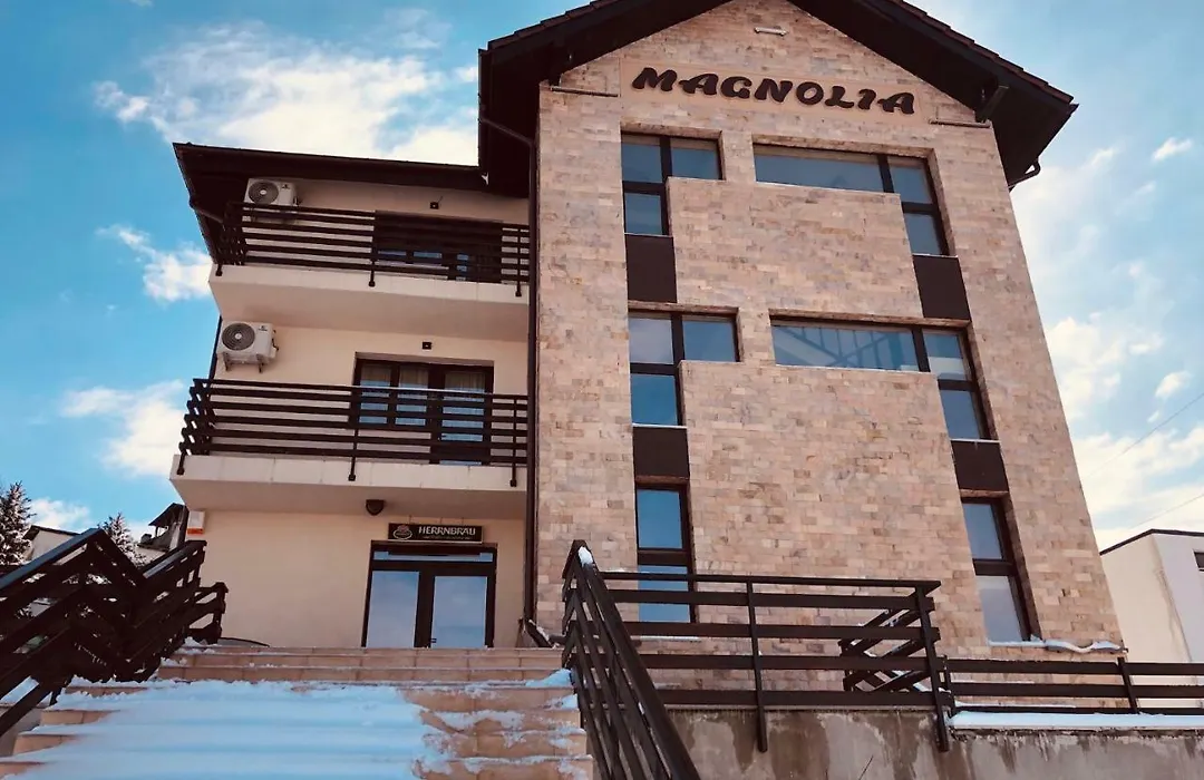 Pensiunea Magnolia-1