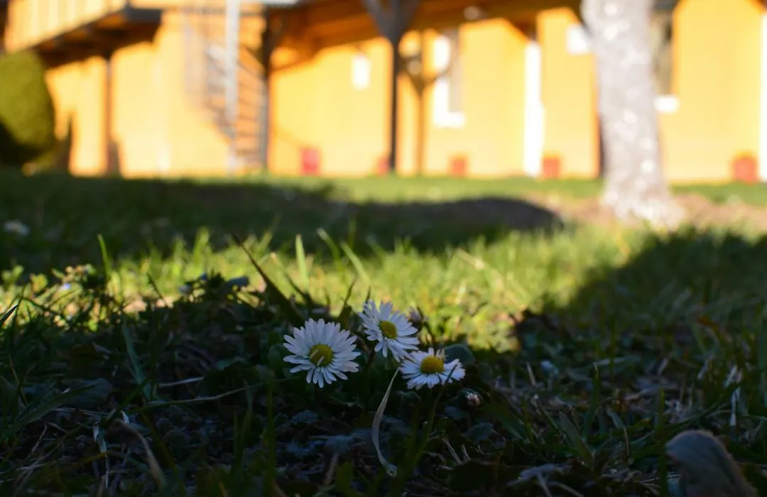 Cristian Inn-1