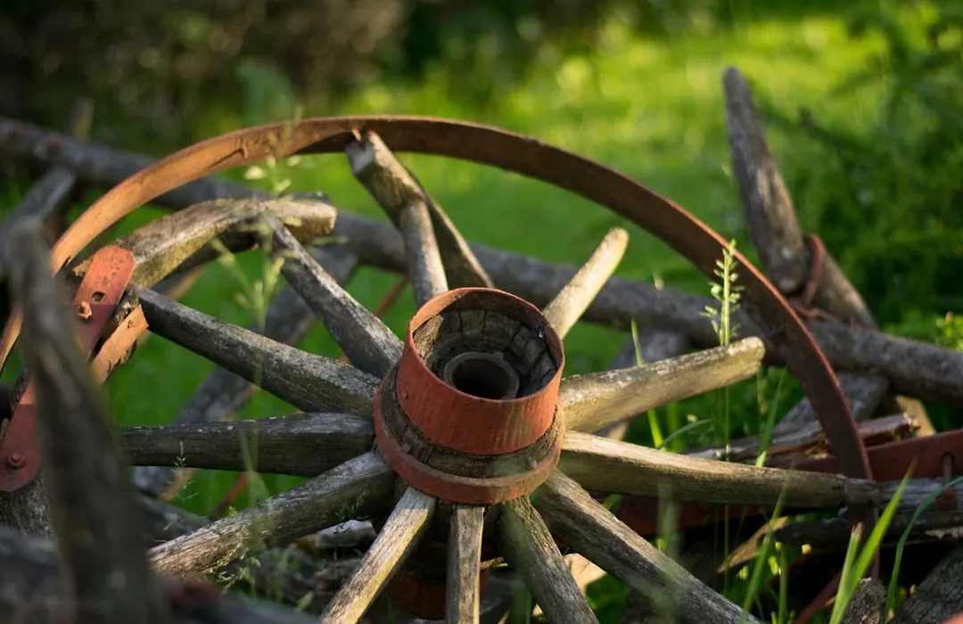 Pensiunea Colt de Munte-1