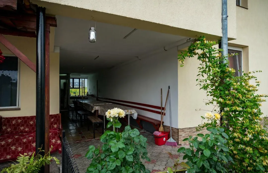 Pensiunea elena-1