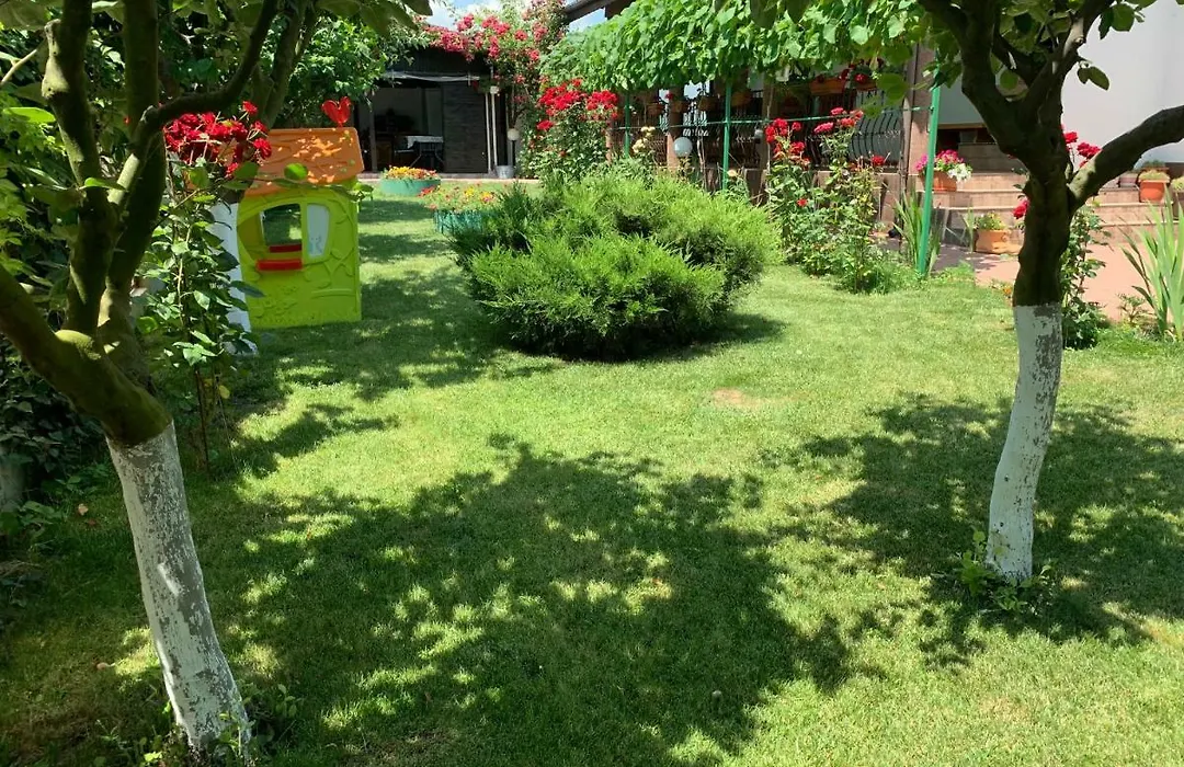 Vila Ann-1