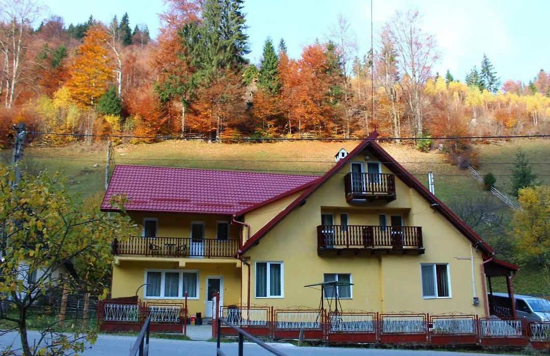 Căsuța de lângă pădure-1