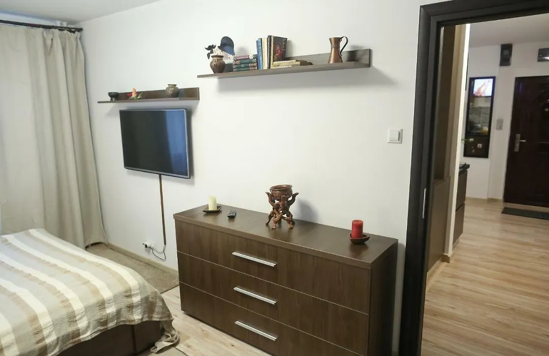 Central Place Apartment Timisoara-1