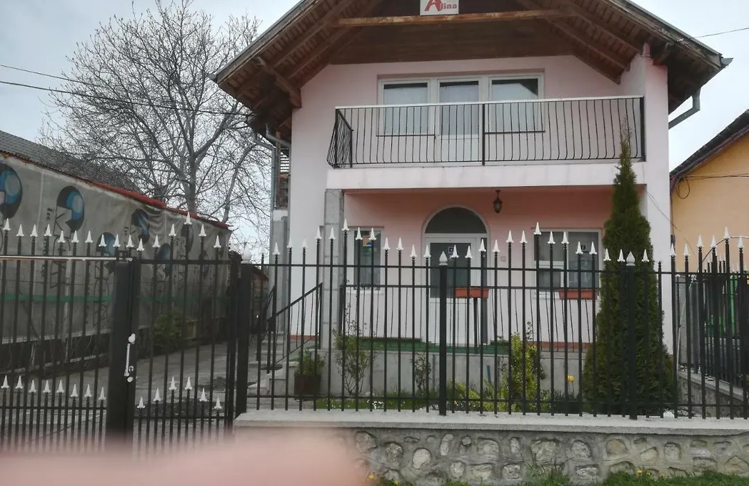 Casa Alina-1