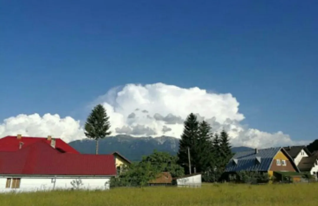 Casa cu Păuni-1