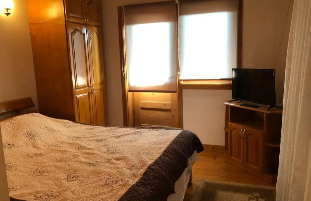 Pensiunea Casa Teo-1