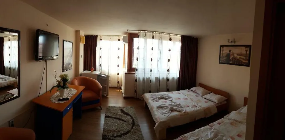Vila Tei Guesthouse-1