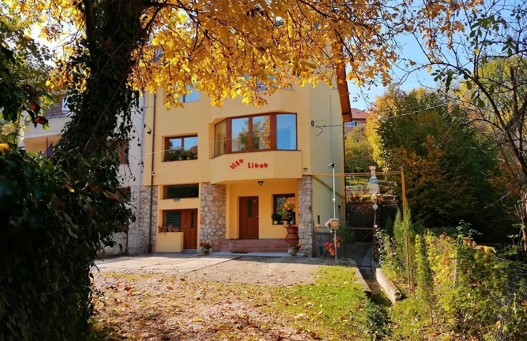 Vila Liana-1