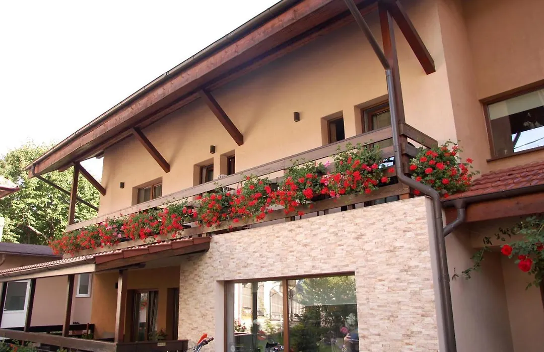 Vila Andrei-1