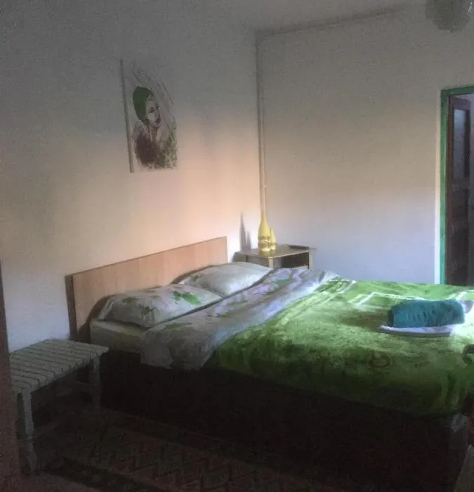 Vila Licurici-1